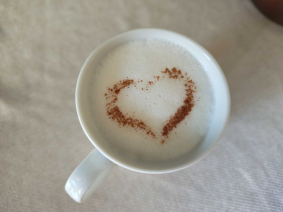 Stilou barista latte art + forme decorare cafea