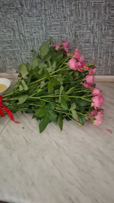 Цветы продам кустовая роза