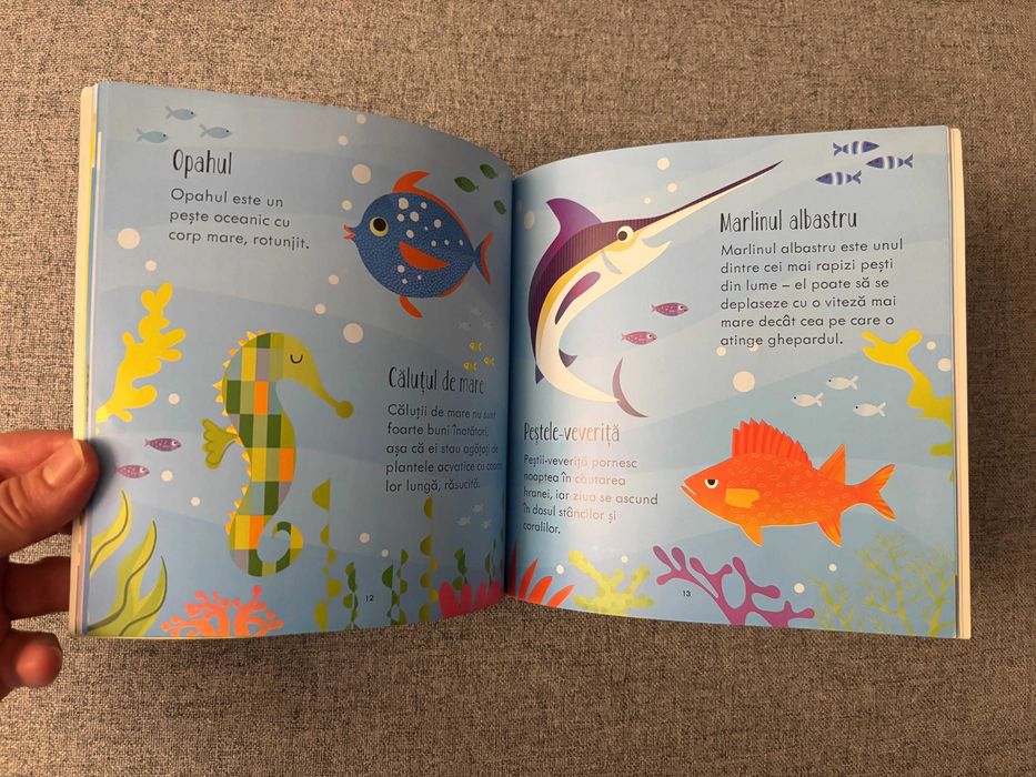 Set de 2 jocuri educative Usborne in limba romana