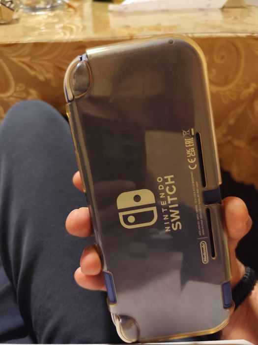 Nintendo switch lite