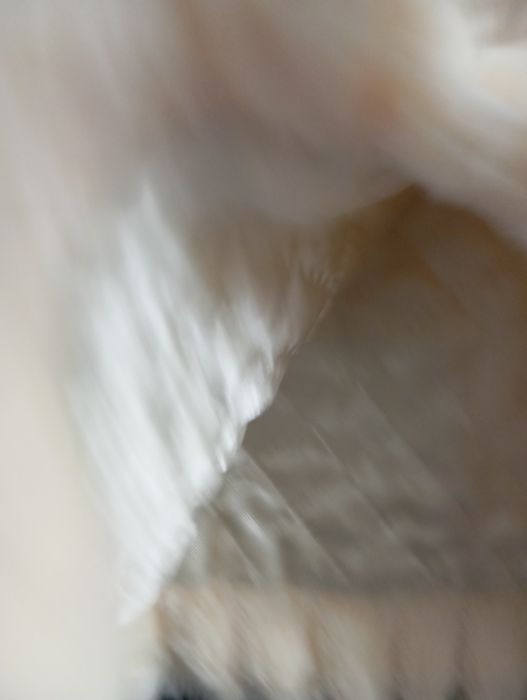 Болеро на девочку