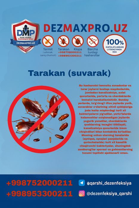 DEZMAXPRO.UZ – Қашқадарёдаги профессионал дезинфекция хизмати!