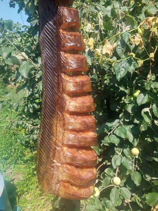 Сом домашнего копчения