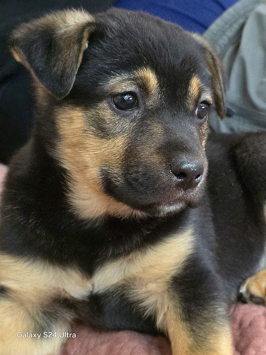 Прекрасные милые малышарики