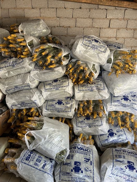 береза веник 500 тг