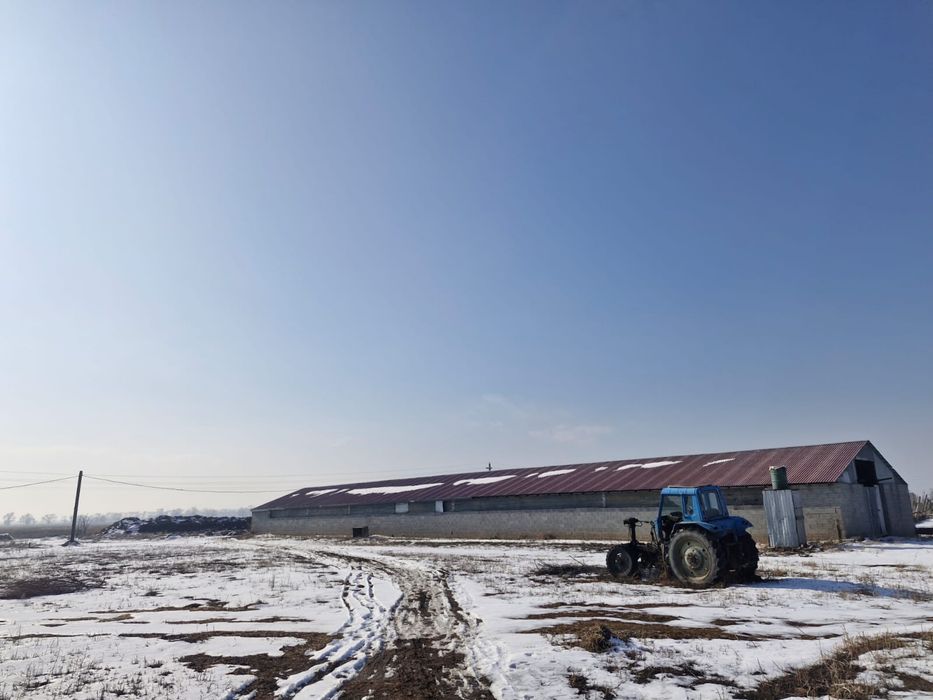 Готовый завод шампиньонов 6000соток