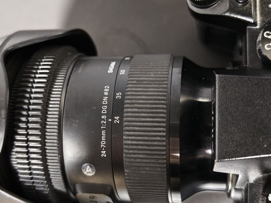 Panasonic Lumix S5 II + Sigma 24-70mm f/2.8 DG DN Art - Leica L