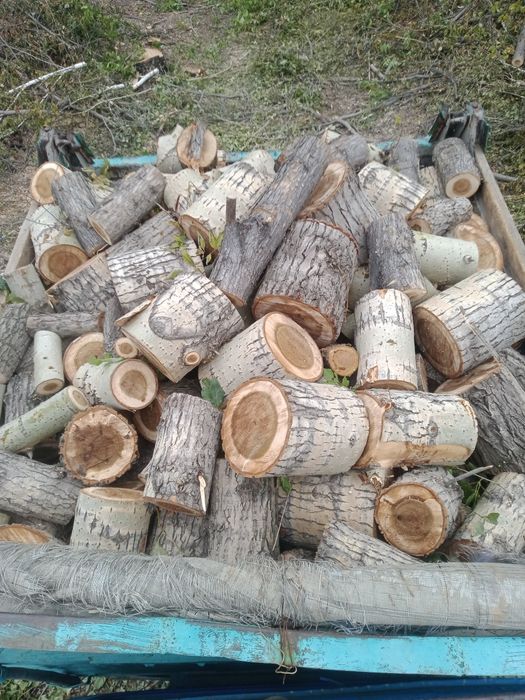 Продам дрова чурками