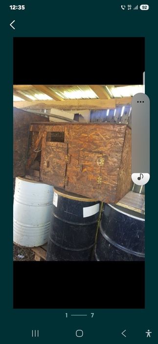 Vand cotete de iepuri