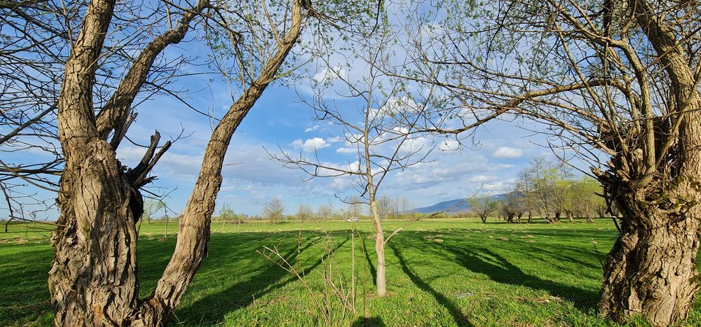 Teren superb la munte, suprafata 3000m/14euro mp