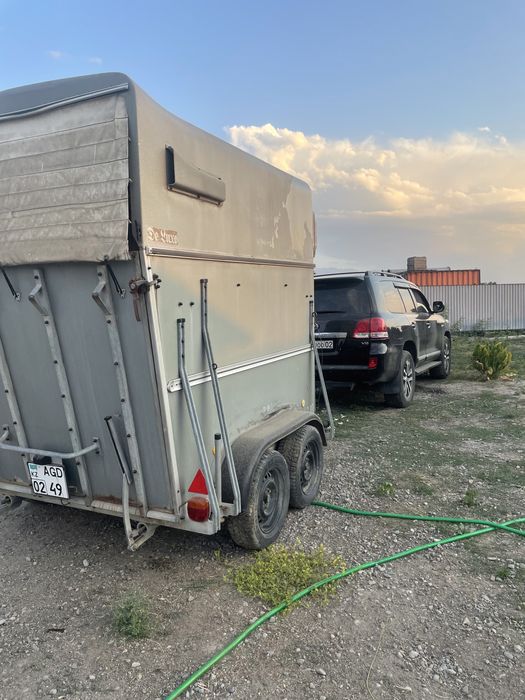 Аренда коневозки