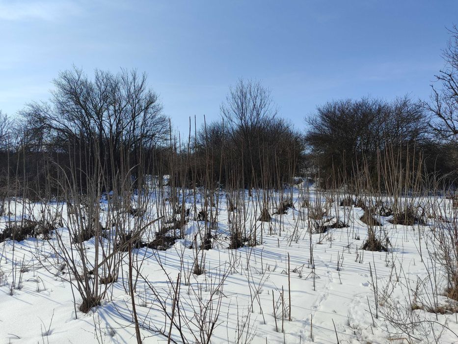 Къща в село Росица