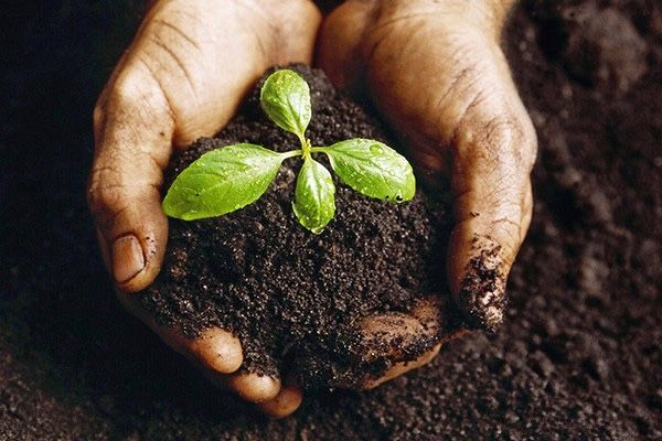 Черназем зил 5 куба