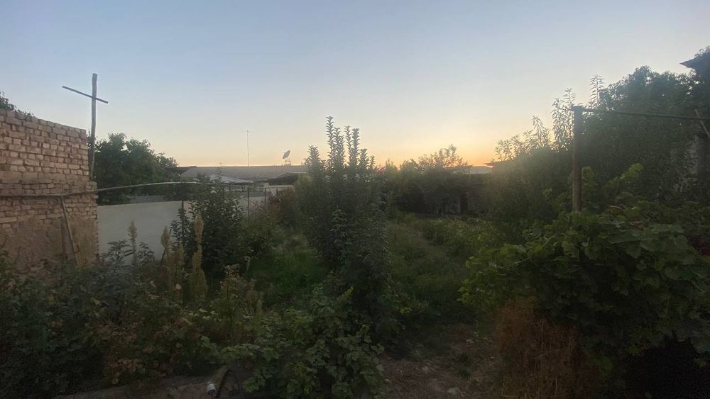 Uchastka 3 sotix sotiladi uzumzorda