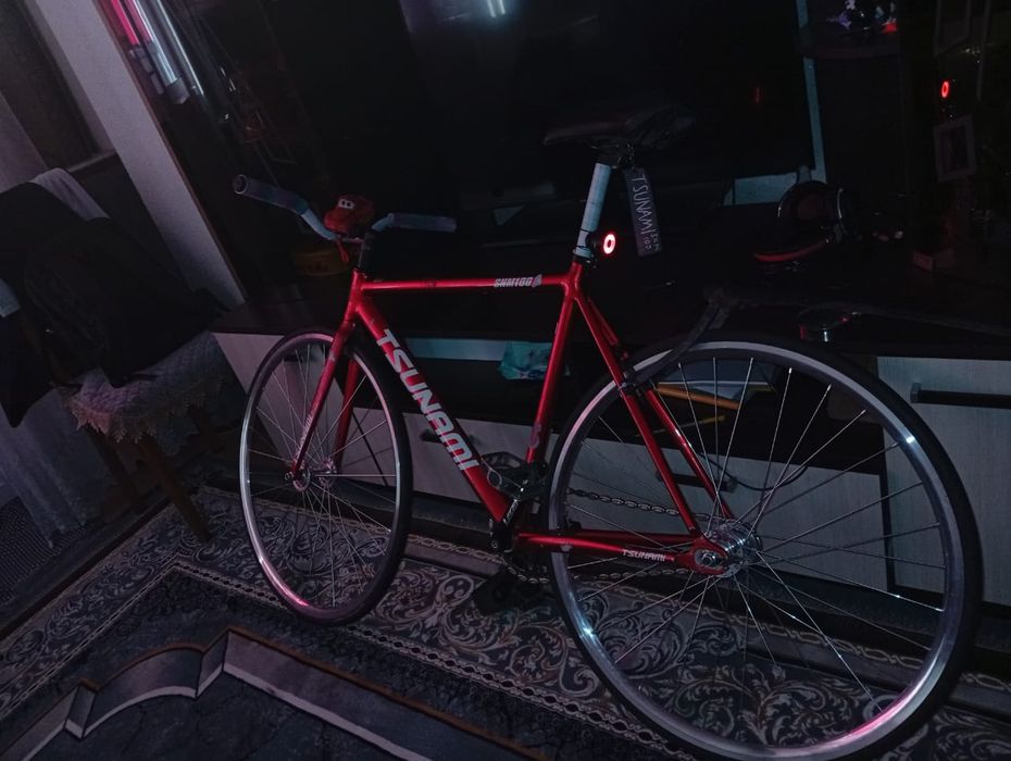 Тсуник фикс снм 100