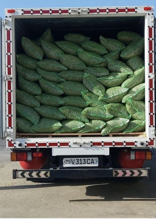 Qoplik Vodiy selosi  22.000 so’m Gibrit Silos Donlik