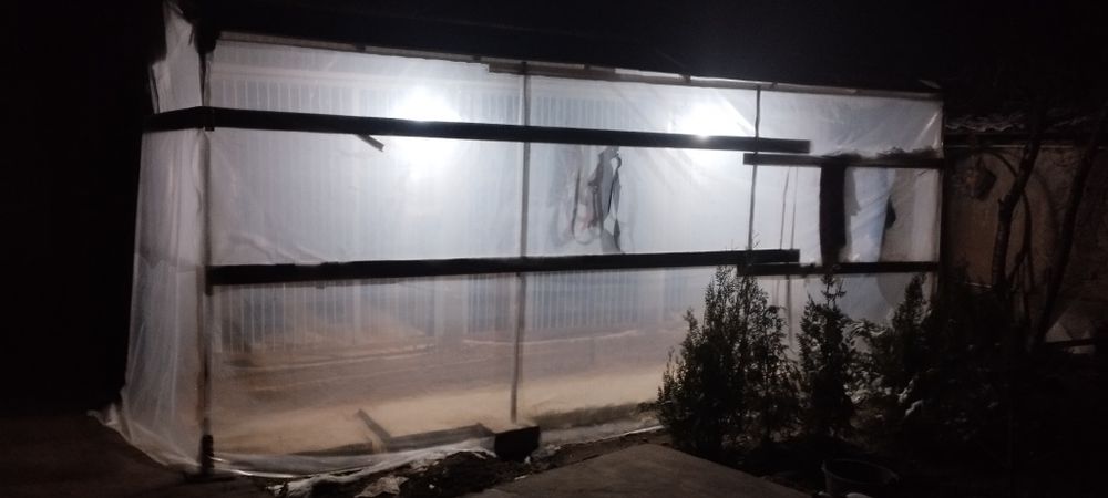 дрессировка  собак любой породы с выездом на дом и передержкой