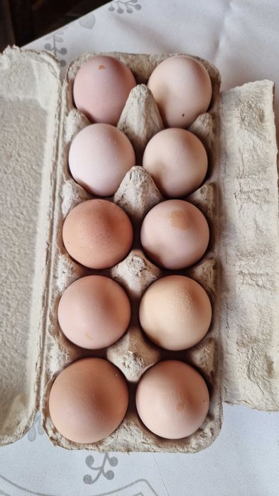 Ouă de vânzare proaspete