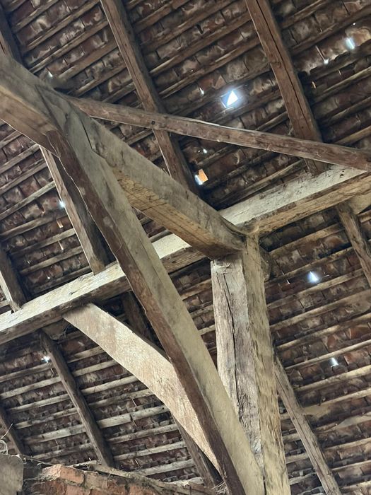 Sură din stejar masiv 1886