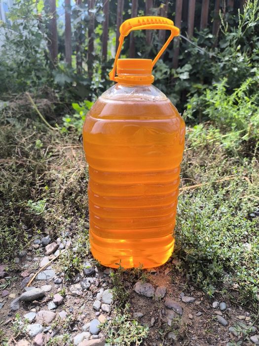 Мёд. Тарбағатай балы