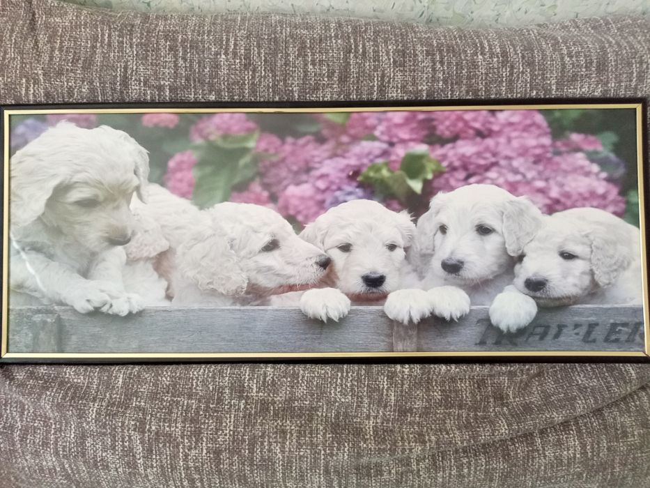 Картина для интерьера