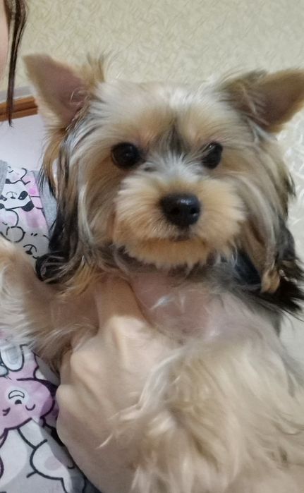 Маленькая принцесса красотуля!