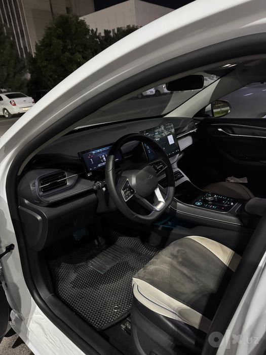 BYD chazor 55km 2 pozitiya