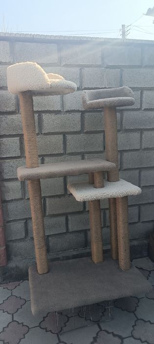 Когтеточка на заказ