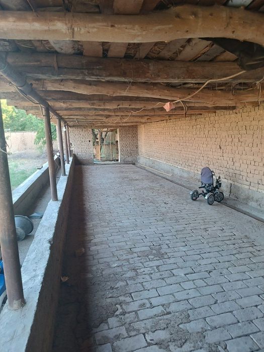 Mini ferma sotiladi yoki arendaga beriladi