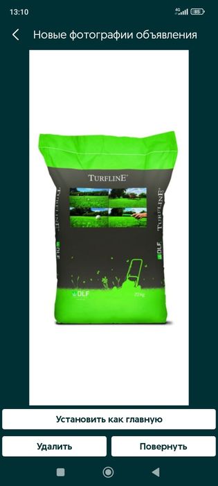 Gazon urug'i Optom va Bio Gomus