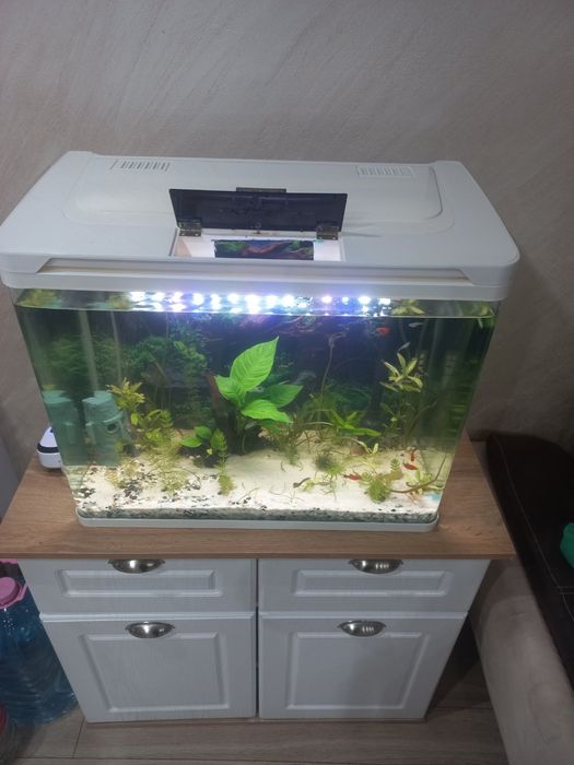 Аквариум и шкаф!
