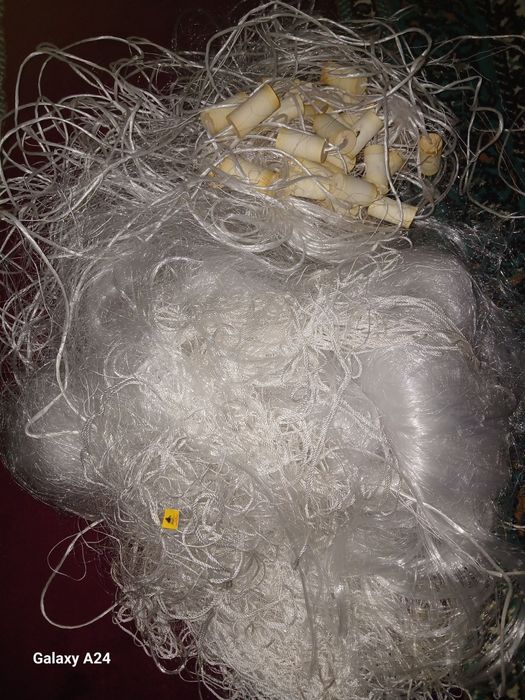 Сетка. Балик тор. Хамелеон Таиланд.