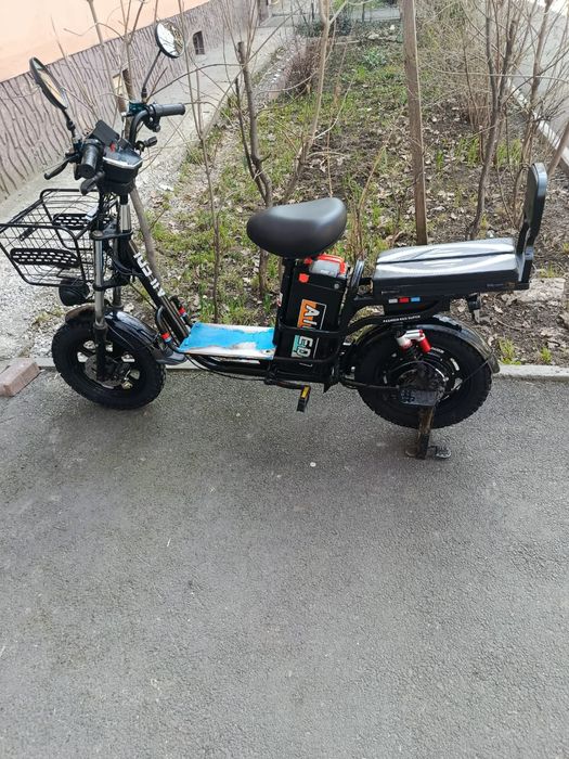 Електро Велик 2026 года