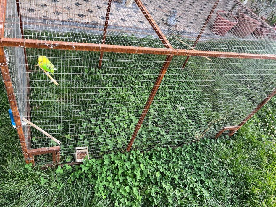 Вальер для папугай