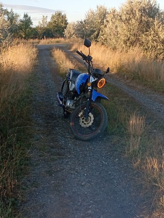 альфа спорт 125 кубов