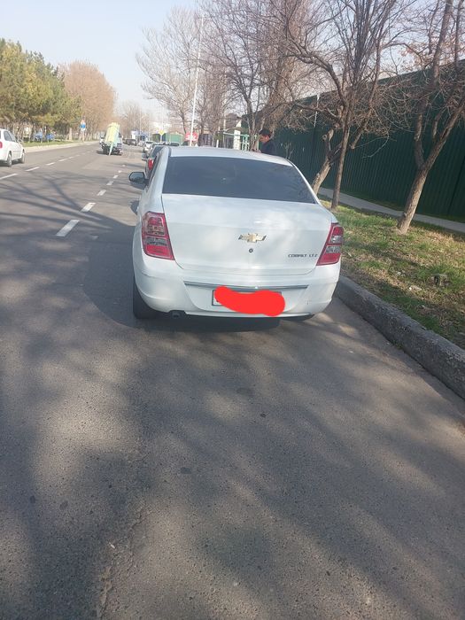 Cobolt 2023 4 pazatsiya