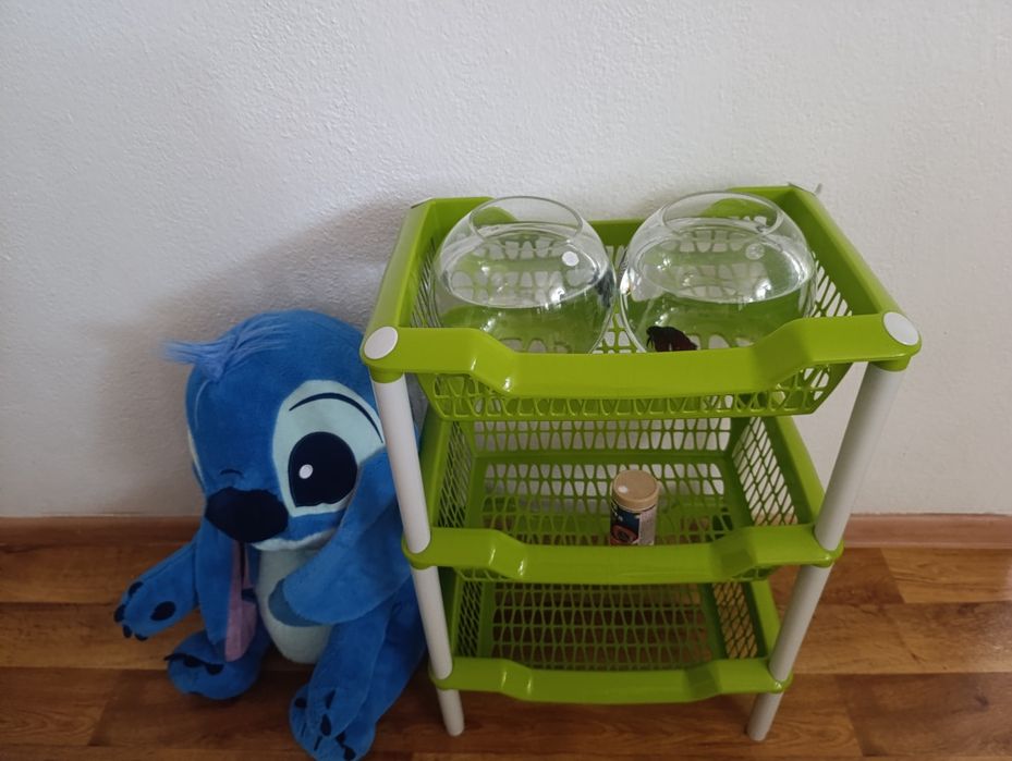 2 аквариума с рыбками за 10000