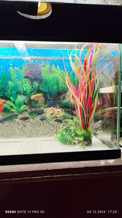 Продам аквариум 65 л