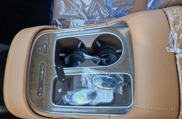 Hyundai Palisade Calligraphy!