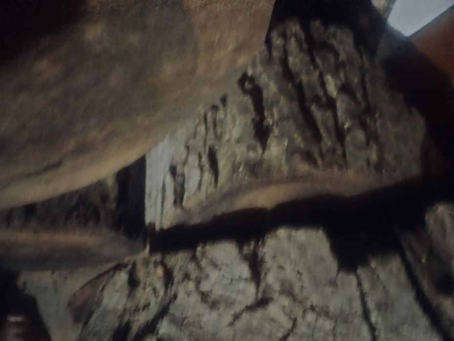 Buturuga, butuc, trunchi, tulpină nuc uscat