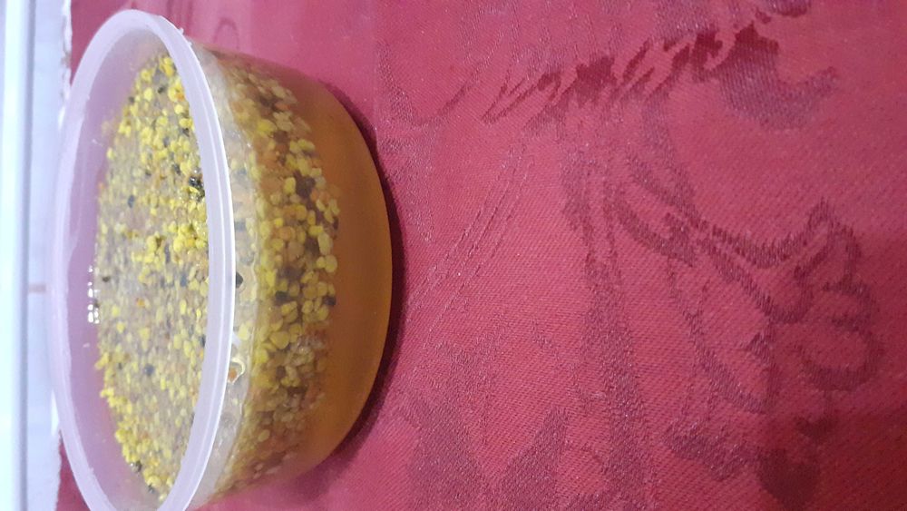 Polen crud de albine