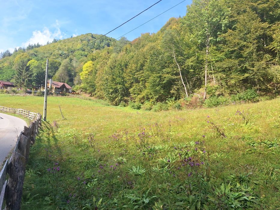 Teren de vazare in Maguri Racatau / Valea Racataului