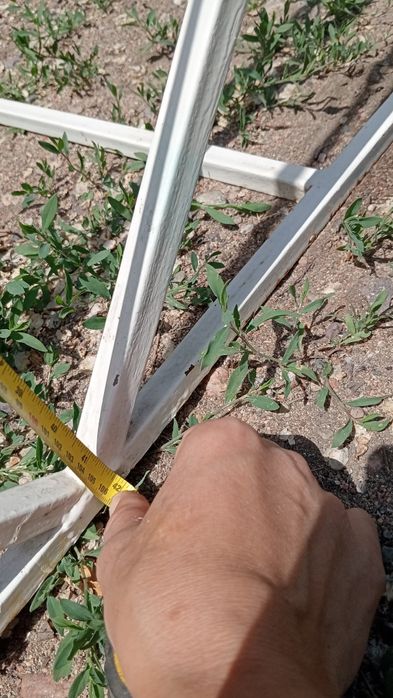 Кочелия 5 жасқа дейін балаларға