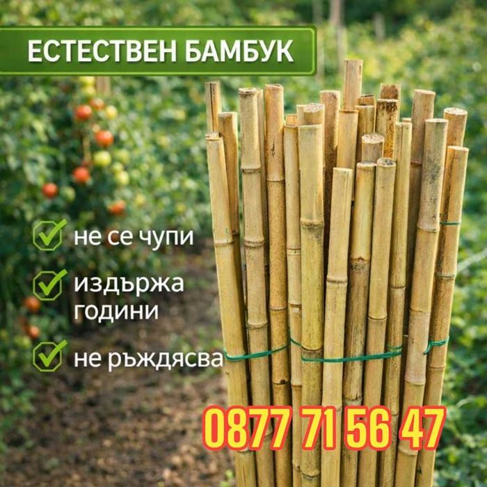 Колчета за домати от бамбук 180см / 210см кол, бамбукови пръчки 1,80м или 2,10м колци колове за домати и цветя от естествен бамбуков материал