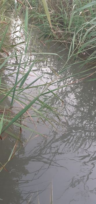 Учаска  ва уи сотилади