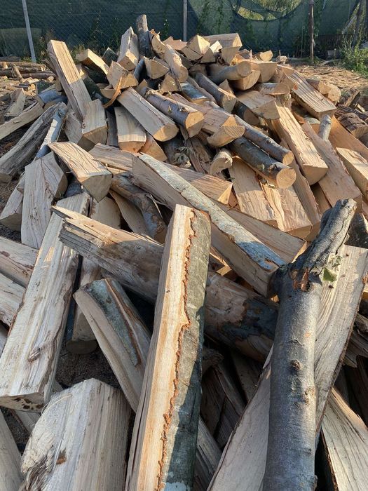 Lemne de foc doar esente tari