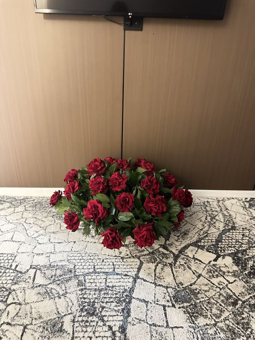 Продам цветы свежие