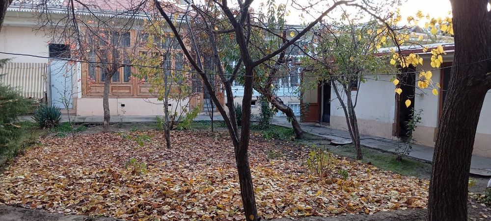 Toshkent shahar Olmazor tumani