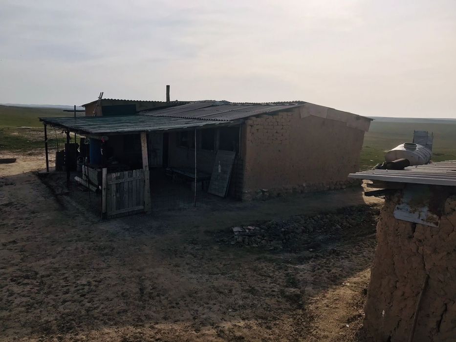 Кора сатылады жайылымдық жерімен