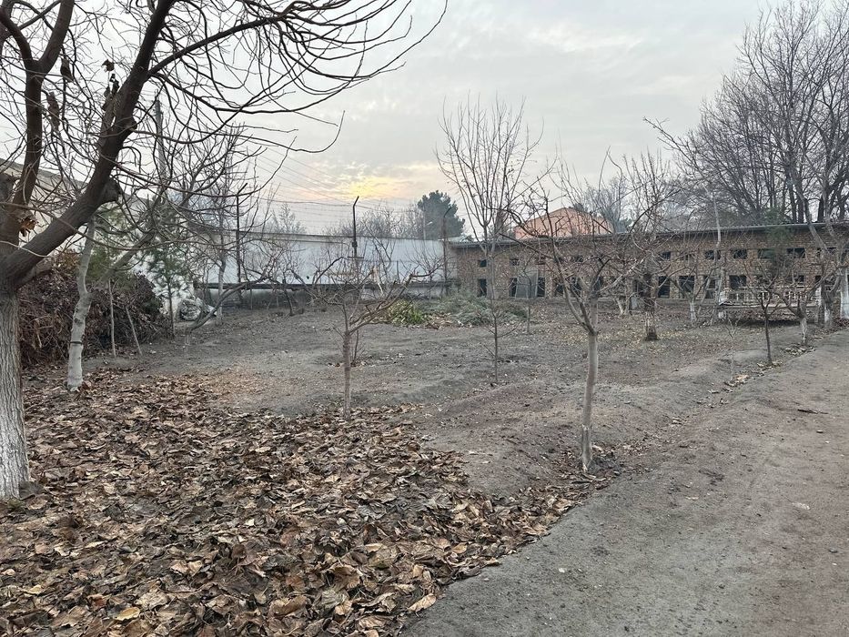 Инфин банк якиниди 15 сутихли уралган ер майдони сотилади